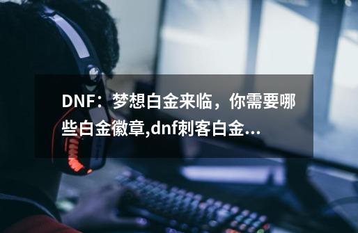 DNF：梦想白金来临，你需要哪些白金徽章,dnf刺客白金徽章选择-第1张-游戏相关-七六启网