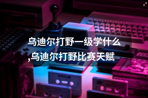 乌迪尔打野一级学什么,乌迪尔打野比赛天赋-第1张-游戏相关-七六启网