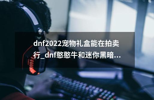 dnf2022宠物礼盒能在拍卖行_dnf憨憨牛和迷你黑暗武士-第1张-游戏相关-七六启网