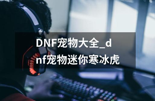 DNF宠物大全_dnf宠物迷你寒冰虎-第1张-游戏相关-七六启网