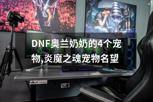 DNF奥兰奶奶的4个宠物,炎魔之魂宠物名望-第1张-游戏相关-七六启网