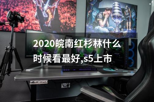 2020皖南红杉林什么时候看最好,s5上市-第1张-游戏相关-七六启网