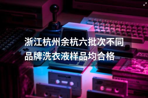 浙江杭州余杭六批次不同品牌洗衣液样品均合格-第1张-游戏相关-七六启网