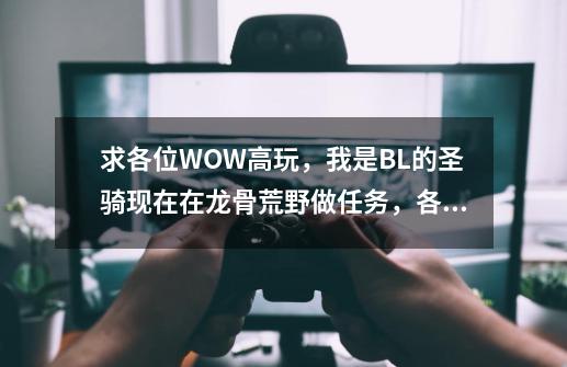 求各位WOW高玩，我是BL的圣骑现在在龙骨荒野做任务，各位大哥能否给个快捷的升级路线。_龙骨荒野主线任务任务线-第1张-游戏相关-七六启网