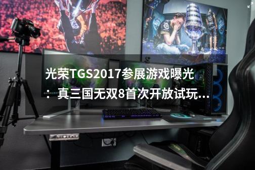 光荣TGS2017参展游戏曝光：真三国无双8首次开放试玩！-第1张-游戏相关-七六启网