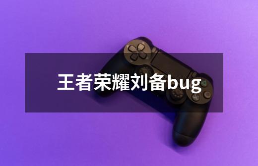 王者荣耀刘备bug-第1张-游戏相关-七六启网