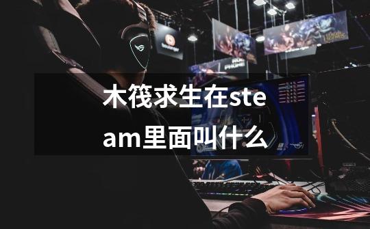 木筏求生在steam里面叫什么-第1张-游戏相关-七六启网