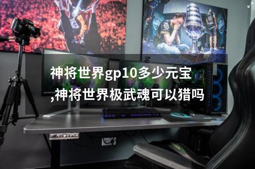 神将世界gp10多少元宝,神将世界极武魂可以猎吗-第1张-游戏相关-七六启网