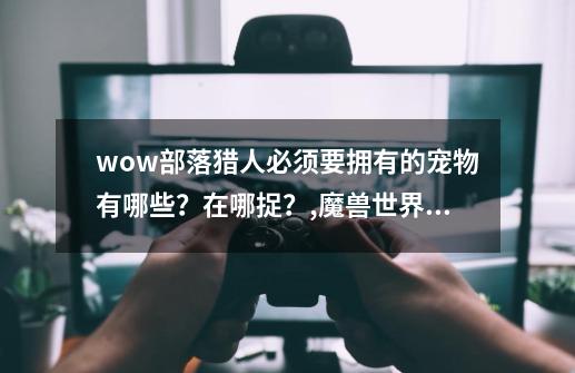 wow部落猎人必须要拥有的宠物有哪些？在哪捉？,魔兽世界51猎人手册:新增宠物及抓捕位置-第1张-游戏相关-七六启网