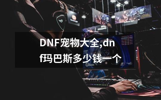 DNF宠物大全,dnf玛巴斯多少钱一个-第1张-游戏相关-七六启网