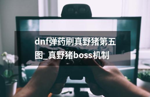 dnf弹药刷真野猪第五图?_真野猪boss机制-第1张-游戏相关-七六启网