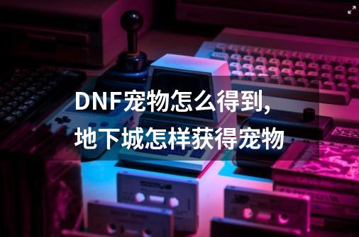 DNF宠物怎么得到,地下城怎样获得宠物-第1张-游戏相关-七六启网