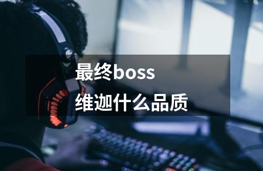 最终boss维迦什么品质-第1张-游戏相关-七六启网