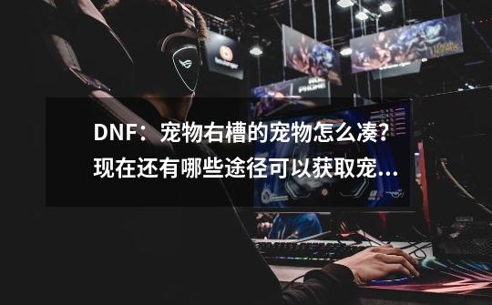 DNF：宠物右槽的宠物怎么凑？现在还有哪些途径可以获取宠物呢？-第1张-游戏相关-七六启网