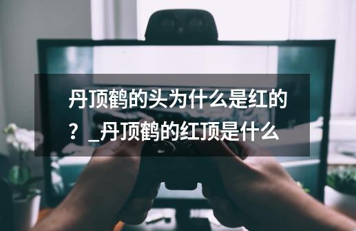 丹顶鹤的头为什么是红的？_丹顶鹤的红顶是什么-第1张-游戏相关-七六启网