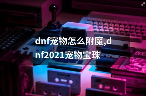 dnf宠物怎么附魔,dnf2021宠物宝珠-第1张-游戏相关-七六启网