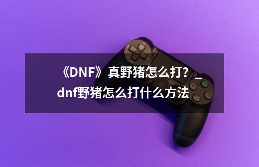 《DNF》真野猪怎么打？_dnf野猪怎么打什么方法-第1张-游戏相关-七六启网