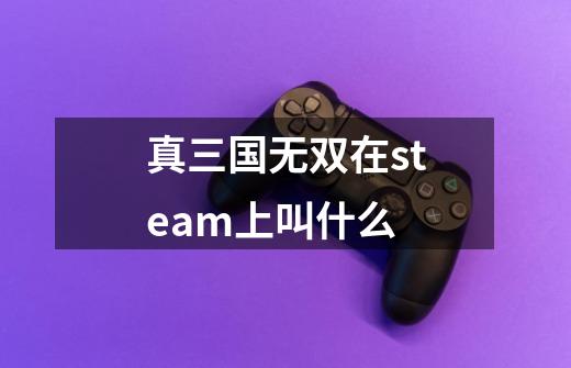 真三国无双在steam上叫什么-第1张-游戏相关-七六启网