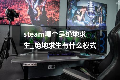 steam哪个是绝地求生_绝地求生有什么模式-第1张-游戏相关-七六启网