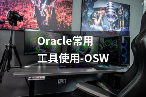 Oracle常用工具使用-OSW-第1张-游戏相关-七六启网