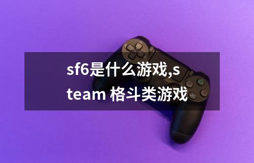 sf6是什么游戏,steam 格斗类游戏-第1张-游戏相关-七六启网