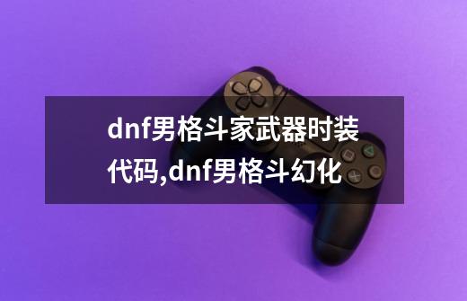 dnf男格斗家武器时装代码,dnf男格斗幻化-第1张-游戏相关-七六启网