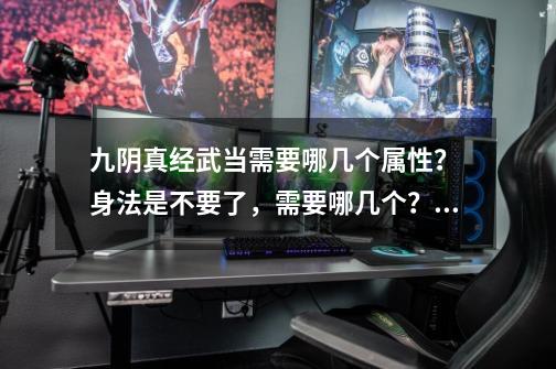 九阴真经武当需要哪几个属性？ 身法是不要了，需要哪几个？,九阴真经太极拳是内功还是外功-第1张-游戏相关-七六启网