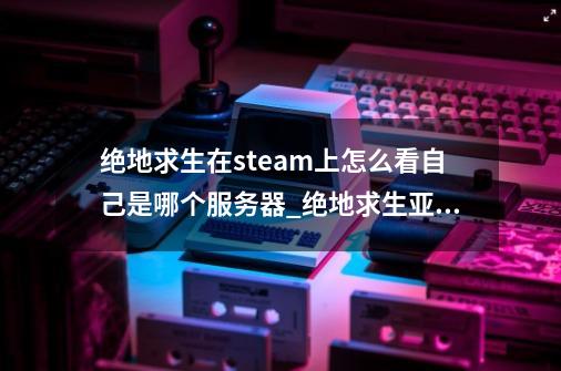 绝地求生在steam上怎么看自己是哪个服务器_绝地求生亚服是哪个-第1张-游戏相关-七六启网