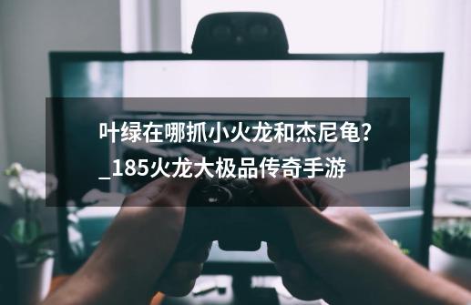 叶绿在哪抓小火龙和杰尼龟？_185火龙大极品传奇手游-第1张-游戏相关-七六启网