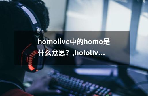 homolive中的homo是什么意思？,hololive怎么回事-第1张-游戏相关-七六启网