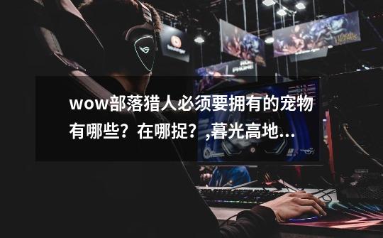 wow部落猎人必须要拥有的宠物有哪些？在哪捉？,暮光高地稀有位置-第1张-游戏相关-七六启网