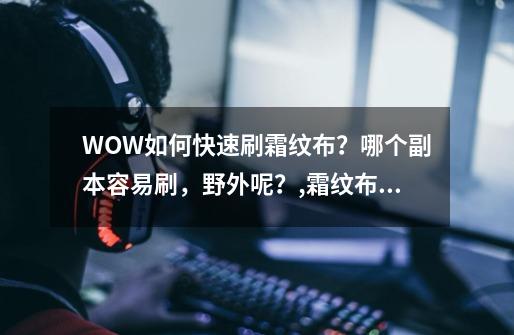 WOW如何快速刷霜纹布？哪个副本容易刷，野外呢？,霜纹布怎么刷最快-第1张-游戏相关-七六启网