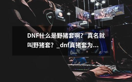 DNF什么是野猪套啊？ 真名就叫野猪套？_dnf真猪套为什么强-第1张-游戏相关-七六启网