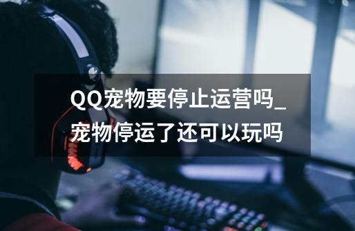 QQ宠物要停止运营吗_宠物停运了还可以玩吗-第1张-游戏相关-七六启网