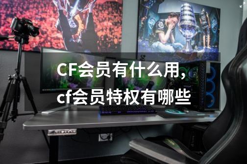 CF会员有什么用,cf会员特权有哪些-第1张-游戏相关-七六启网